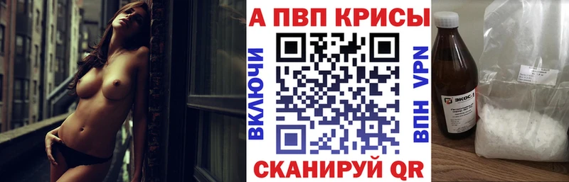 blacksprut ссылки  Пугачёв  А ПВП СК 