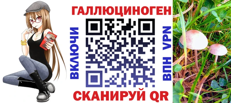 Галлюциногенные грибы MAGIC MUSHROOMS  Пугачёв 